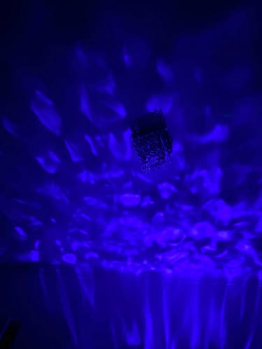 Customer photo review of Aurora Projector