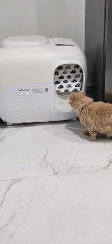 Customer photo review of Self-Cleaning Litter Box