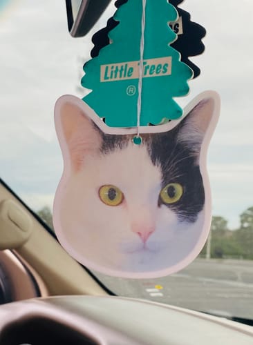 Customer photo review of Custom Shape Air Freshener