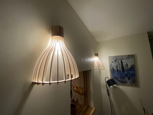 Customer photo review of Ariel | Applique