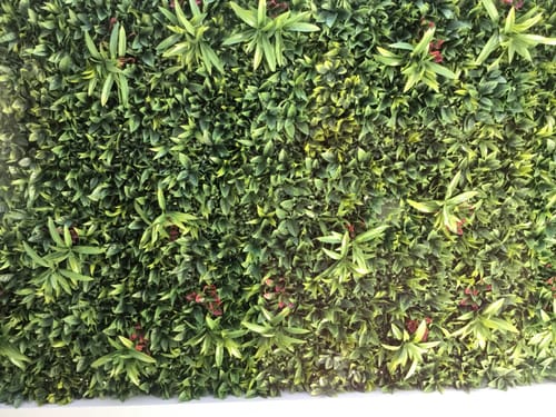 Customer photo review of Green Meadows Artificial Vertical Garden / Fake Green Wall 1m x 1m UV Resistant