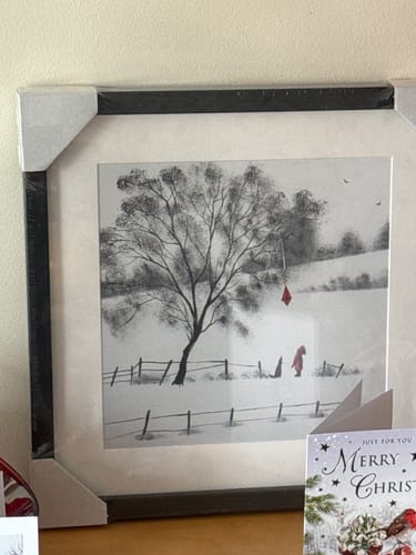 Customer photo review of Red Kite By Adam Barsby 🎄🎄