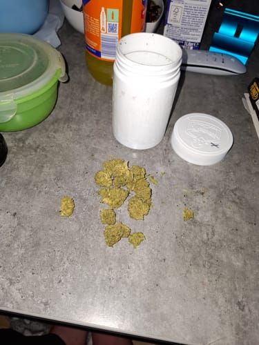 Customer photo review of 🧛🏻♂️ Vampire Kush CBD 22%