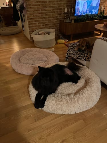 Customer photo review of CalmBed - Motverkar stress & hjälper mot ångest