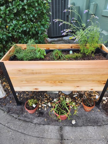 Customer photo review of 18" x 48" Raised Garden Bed