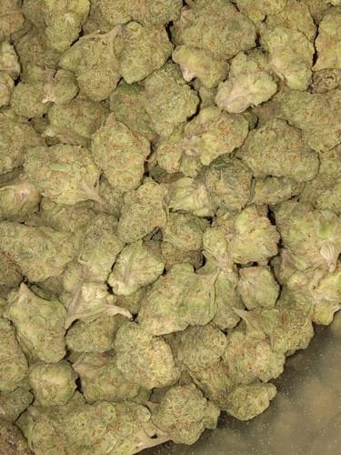Customer photo review of Bulk THCA Smalls