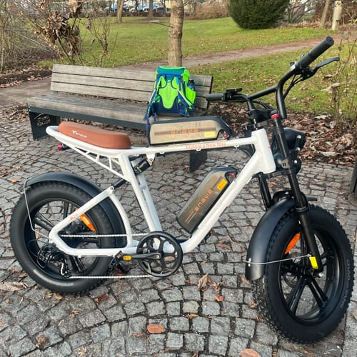 Customer photo review of Engwe M20 750W 20" Fat Bike E Mountain Bike EMTB