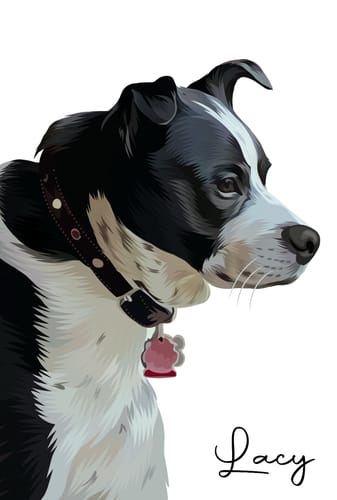 Customer photo review of Pet Art Canvas Wrap
