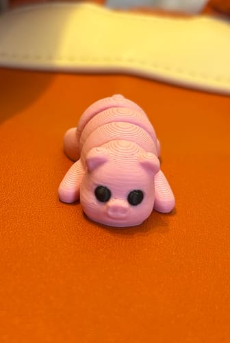 Customer photo review of Mini Fidget Pet