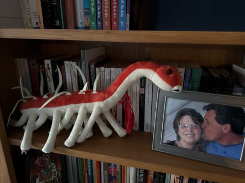 Customer photo review of Hallucigenia Cambrian Animal Soft Stuffed Plush Toy