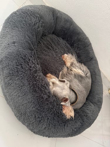 Customer photo review of Cama Antiestrés Para Perros