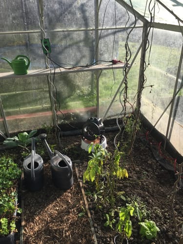 undefined review of Gewächshausheizung "Palma TWIN" mit digitalem Thermostat 1000 W / 2000 W image 1 out of 1