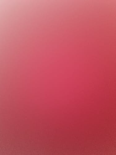 Customer photo review of fembag