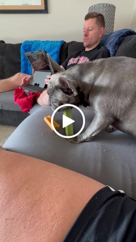 Customer video review of MIX FLAVORED (strawberry, banana, mint, & pumpkin): A PACK OF 4 STICKS