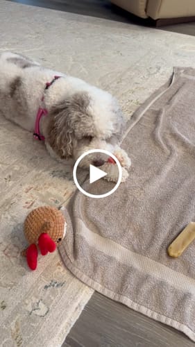 Customer video review of MIX FLAVORED (strawberry, banana, mint, & pumpkin): A PACK OF 4 STICKS