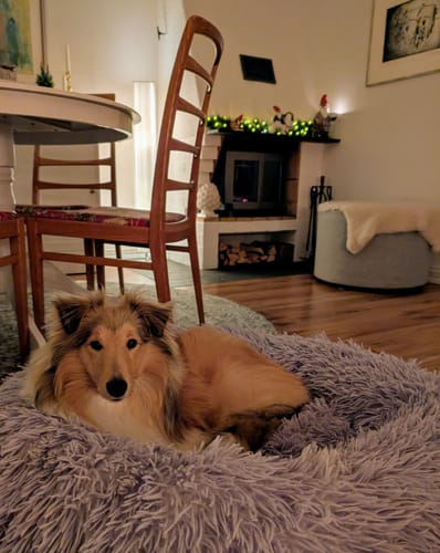 Customer photo review of CalmBed - Motverkar stress & hjälper mot ångest