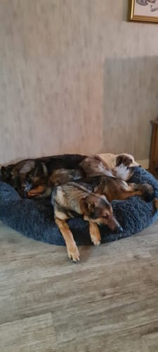 Customer photo review of CalmBed - Motverkar stress & hjälper mot ångest