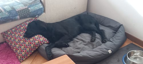 Customer photo review of Divanetto Cotone Siena