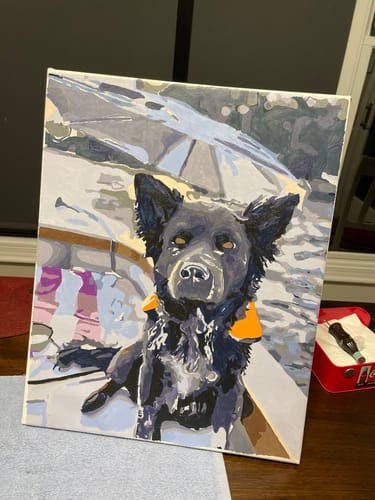 Customer photo review of Custom Paint By Numbers Kit