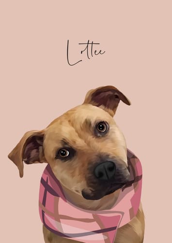Customer photo review of Detailed Pet Portrait