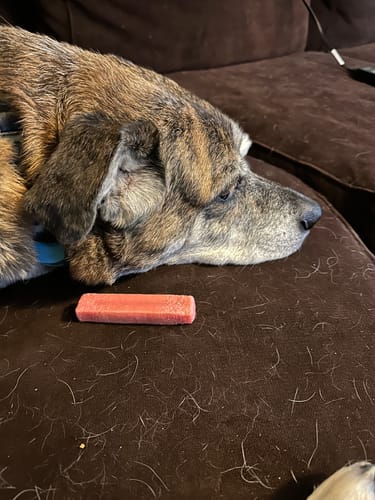 Customer photo review of MIX FLAVORED CHEWS ( A PACK OF 6 STICKS )