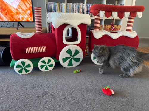 Customer photo review of ZeZe Christmas Train Cat Tree: Holiday-Themed Climbing Frame & Toy for Cats
