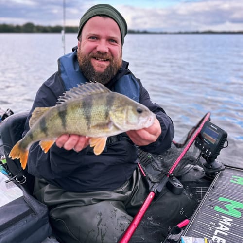 Customer photo review of Lure Drop