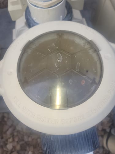 Customer photo review of Pentair 356189z. O-ring for IntelliFlo3 and IntelliPro3 VFS Pump. Replacement Part.