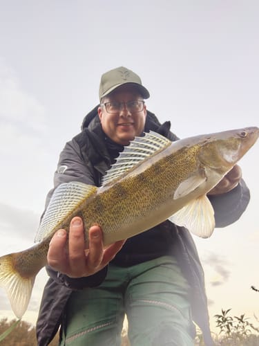 Customer photo review of Lure Drop