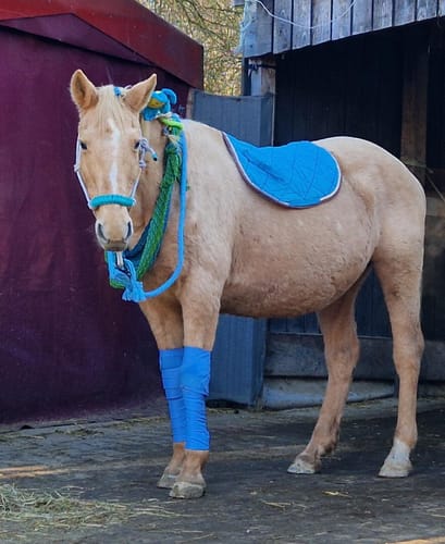 Customer photo review of Kristallkraft No1