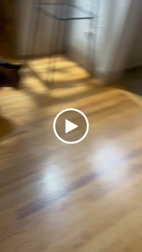 undefined review of SPEEDY TAIL 2.0 image 1 out of 1