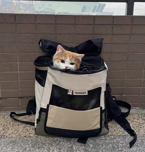 Customer photo review of Lightweight Double-Shoulder Pet Backpack with Front & Back Carry, Light-Blocking & Warming Design for Small to Medium Cats