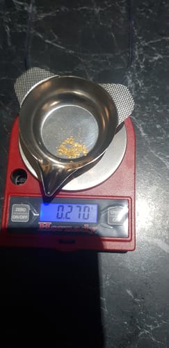 Customer photo review of Kiwi Gold Pay Dirt