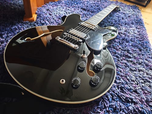 Customer photo review of Donner DJP-1000 Jazz-E-Gitarre