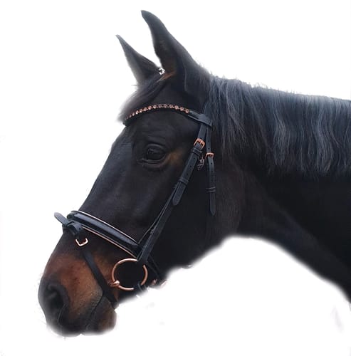 Customer photo review of Strotonin Horse Support
