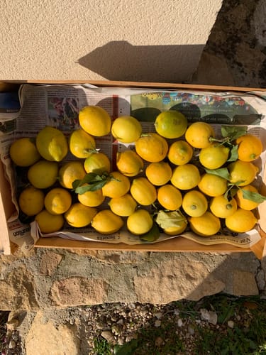 Liliane B. review of Citrons Bio - Origine Corse image 1 out of 1