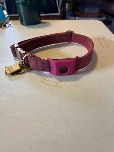 Customer photo review of FurLife™ 12 Months Flea and Tick Free