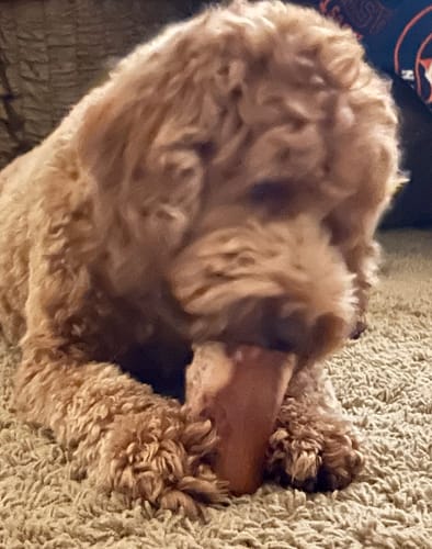 Customer photo review of Smoked Beef Marrow Bone