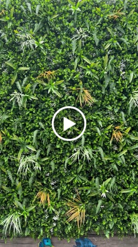Customer video review of Wild Tropics Artificial Vertical Garden / Fake Green Wall 1m x 1m UV Resistant