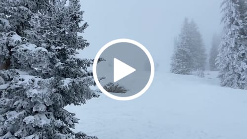 Customer video review of Luxe Fleece Hood