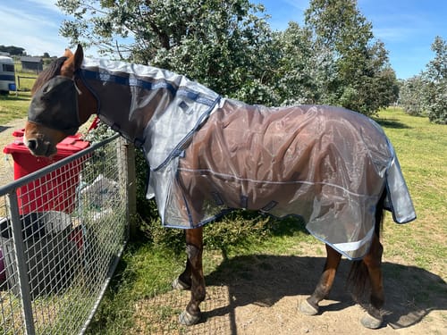 Customer photo review of LE Defender Anti-Insect Rug