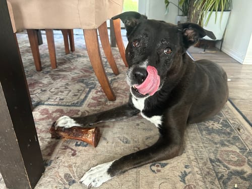 Customer photo review of Smoked Beef Marrow Bone