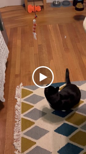 Customer video review of Magnetic Catch Wand