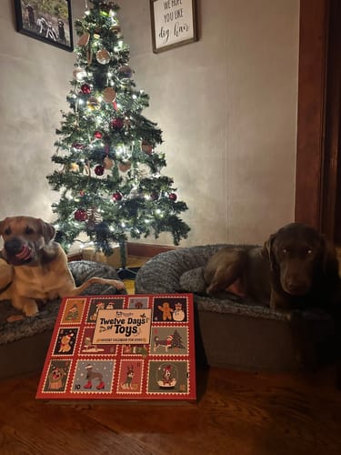 Customer photo review of Count Down to the Holidays Advent Calendar