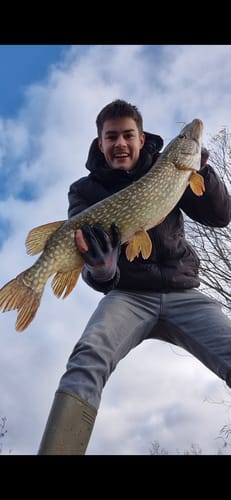 Customer photo review of Lure Drop