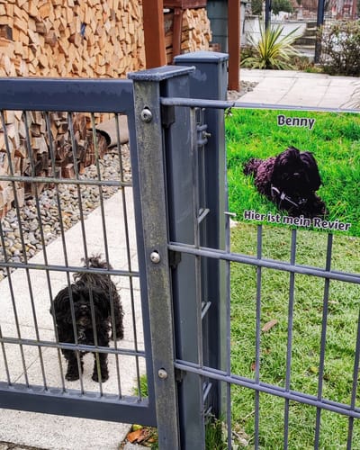 Customer photo review of Hunde-Türschild mit Foto & Wunschtext (UV- UND WETTERFEST) - Angebot beim Kauf eines 2. Schildes