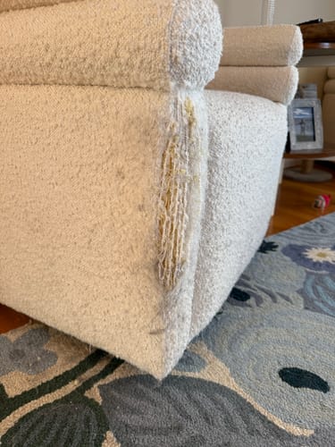 Customer photo review of Multifunctional Cat Scratching Carpet