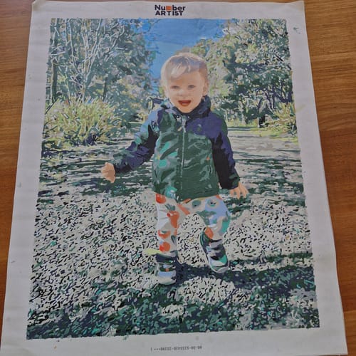 Customer photo review of Custom Paint by Numbers Kit
