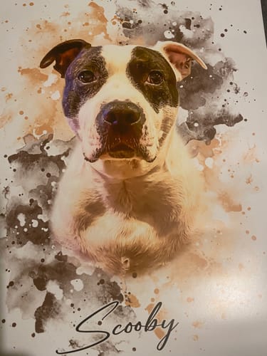 undefined review of Your Dog as Watercolor Portrait image 1 out of 1