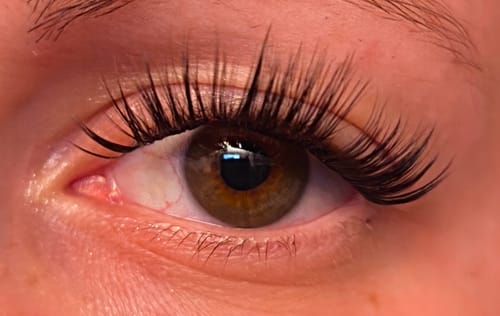 Customer photo review of And so it begins - Everyday Edition